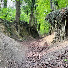 22-04-25 11-21-39 0617